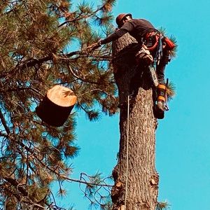 Meet your Posher, Jack